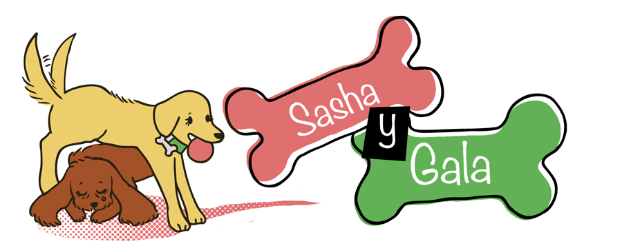 Sasha y Gala