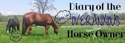 Diary of the Overanxious Horse Owner