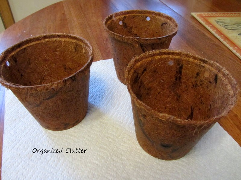 Spring Decor with Bunnies and Peat Pots Organized Clutter