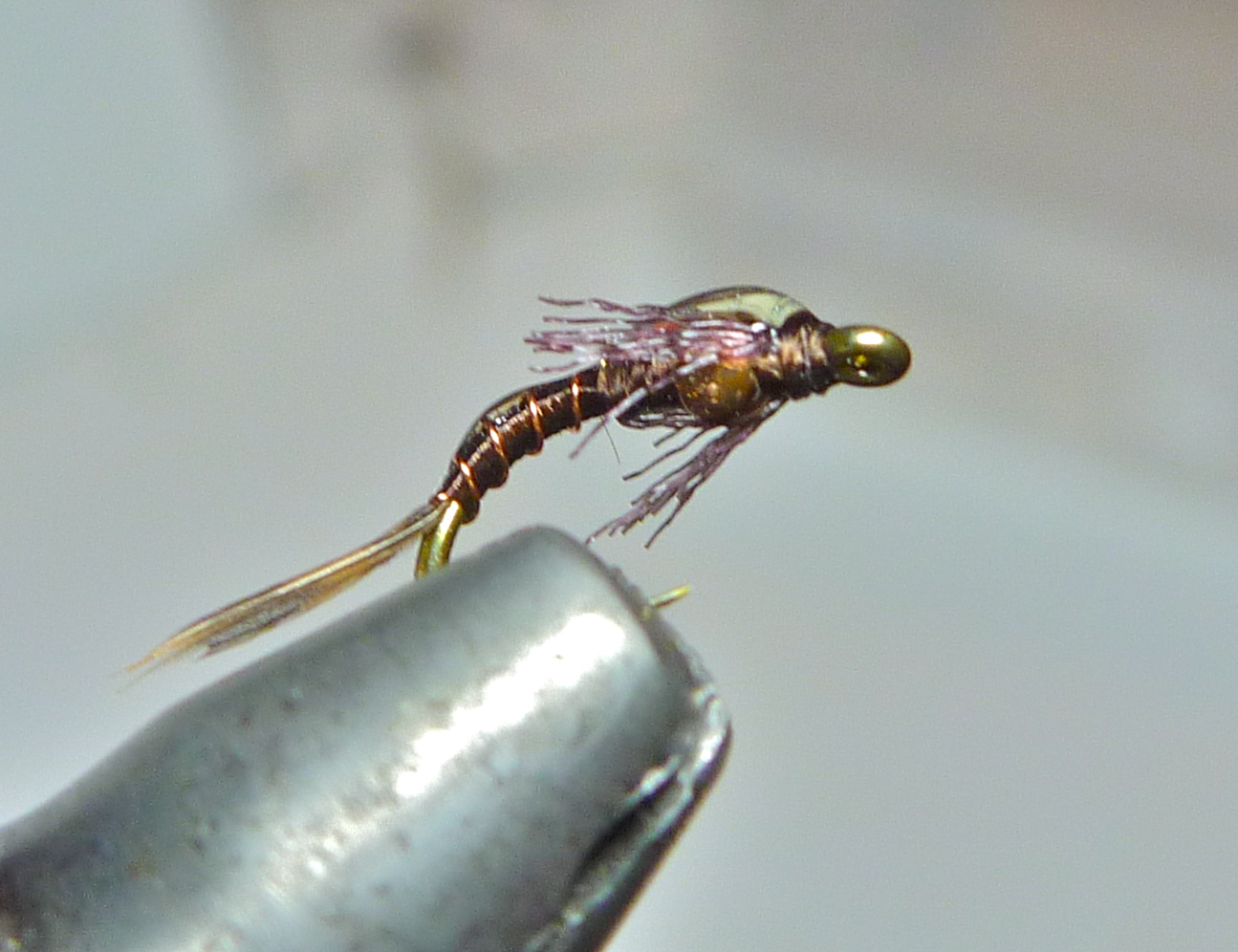 Trout Pursuit Shot Glass Preview