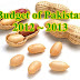 Pakistani Budget 2012 - 2013 News