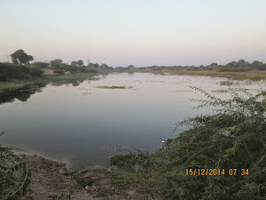 "Bahman Talav(Brahmins Lake)" near  "Rann Riders Resort".