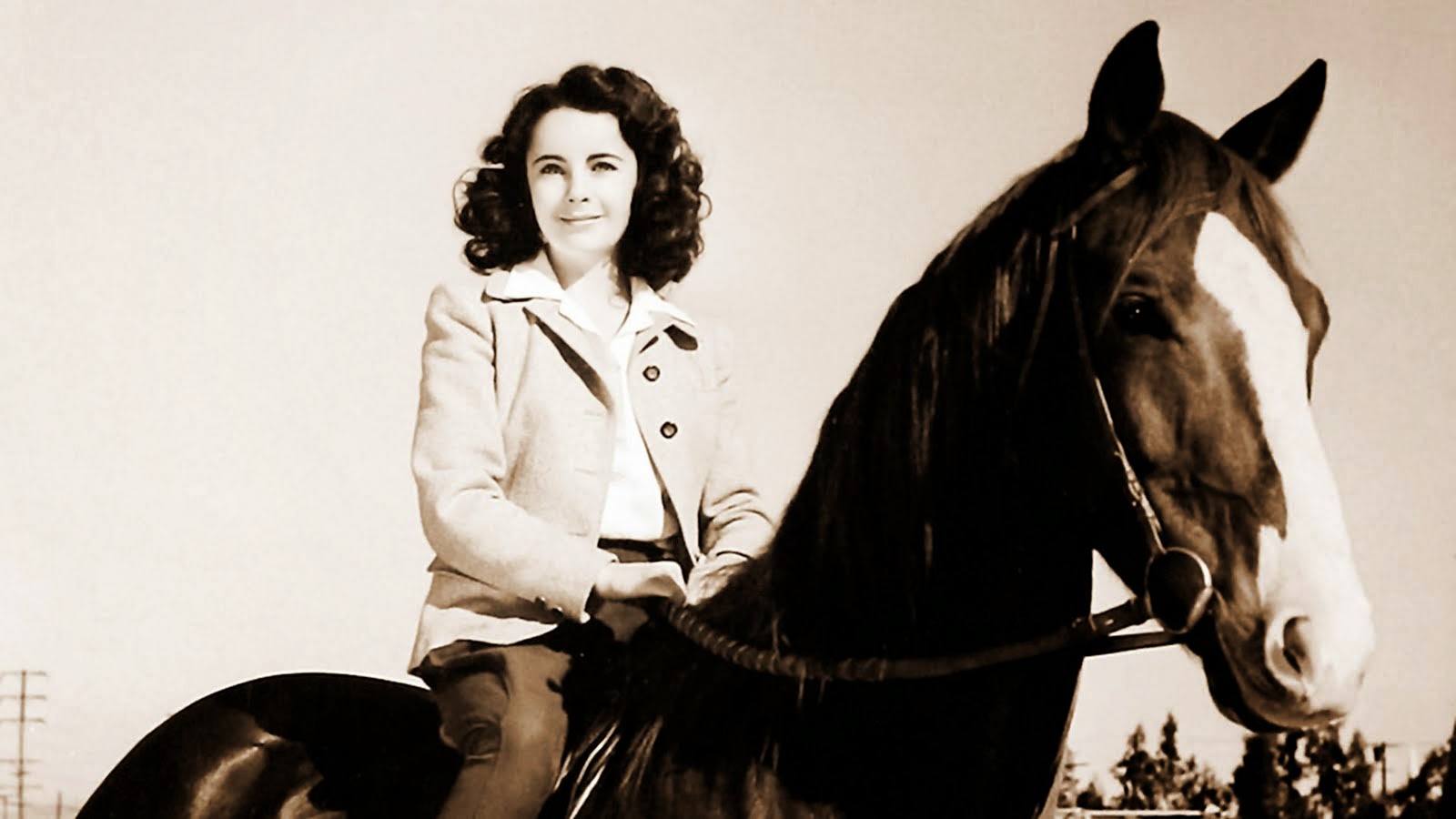 National Velvet A Soppy Racing Movie So Far Out It’s In Forces of Geek we like pop culture.
