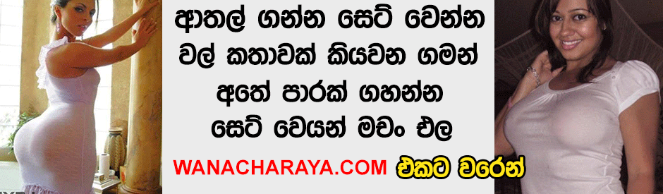 Sinhala Wela New වල්කතා Wal Katha Sinhala Sex Videos