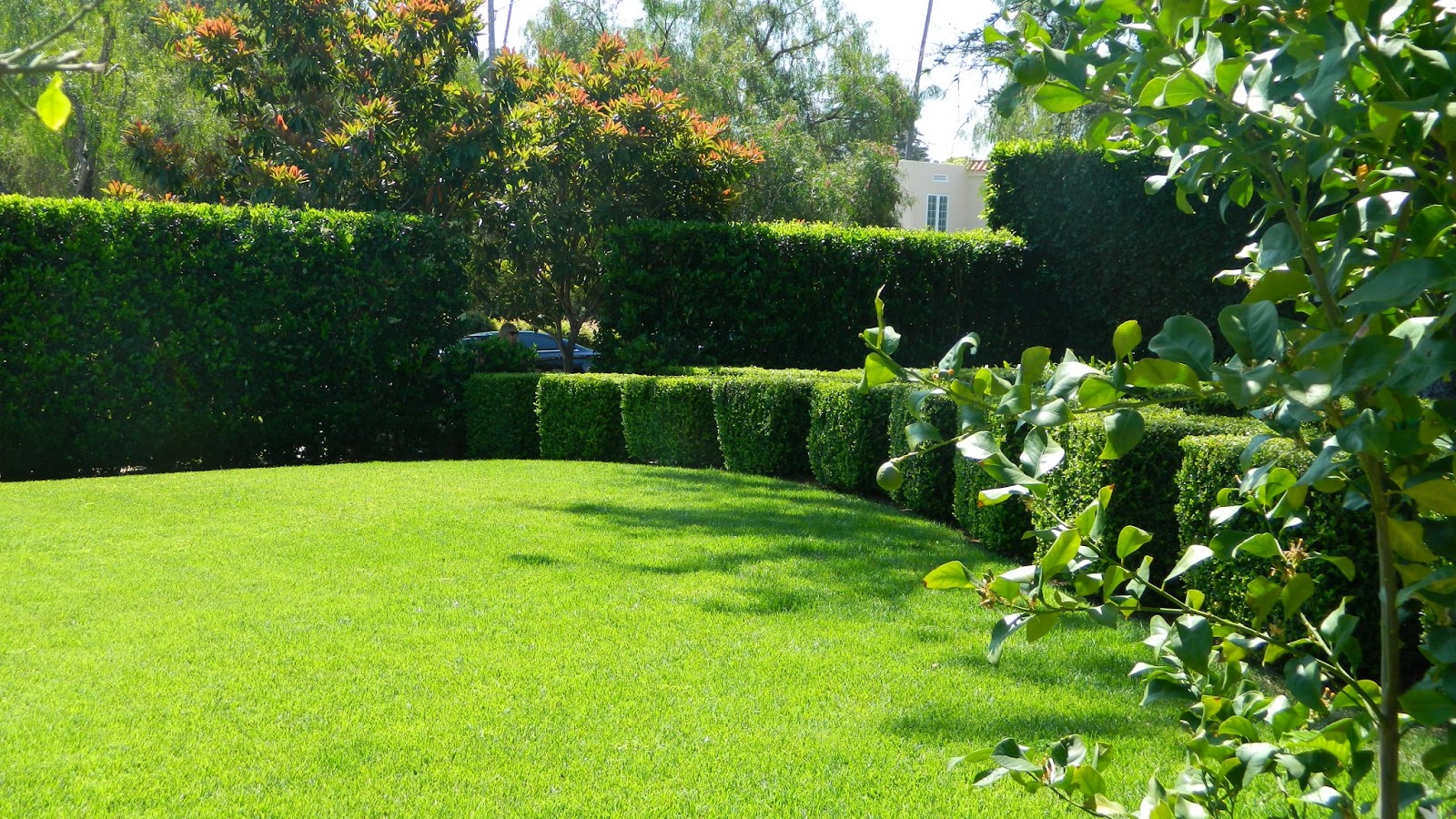 GardenEnvy: The 2013 Mission Hills Garden Walk In San Diego Rocks!