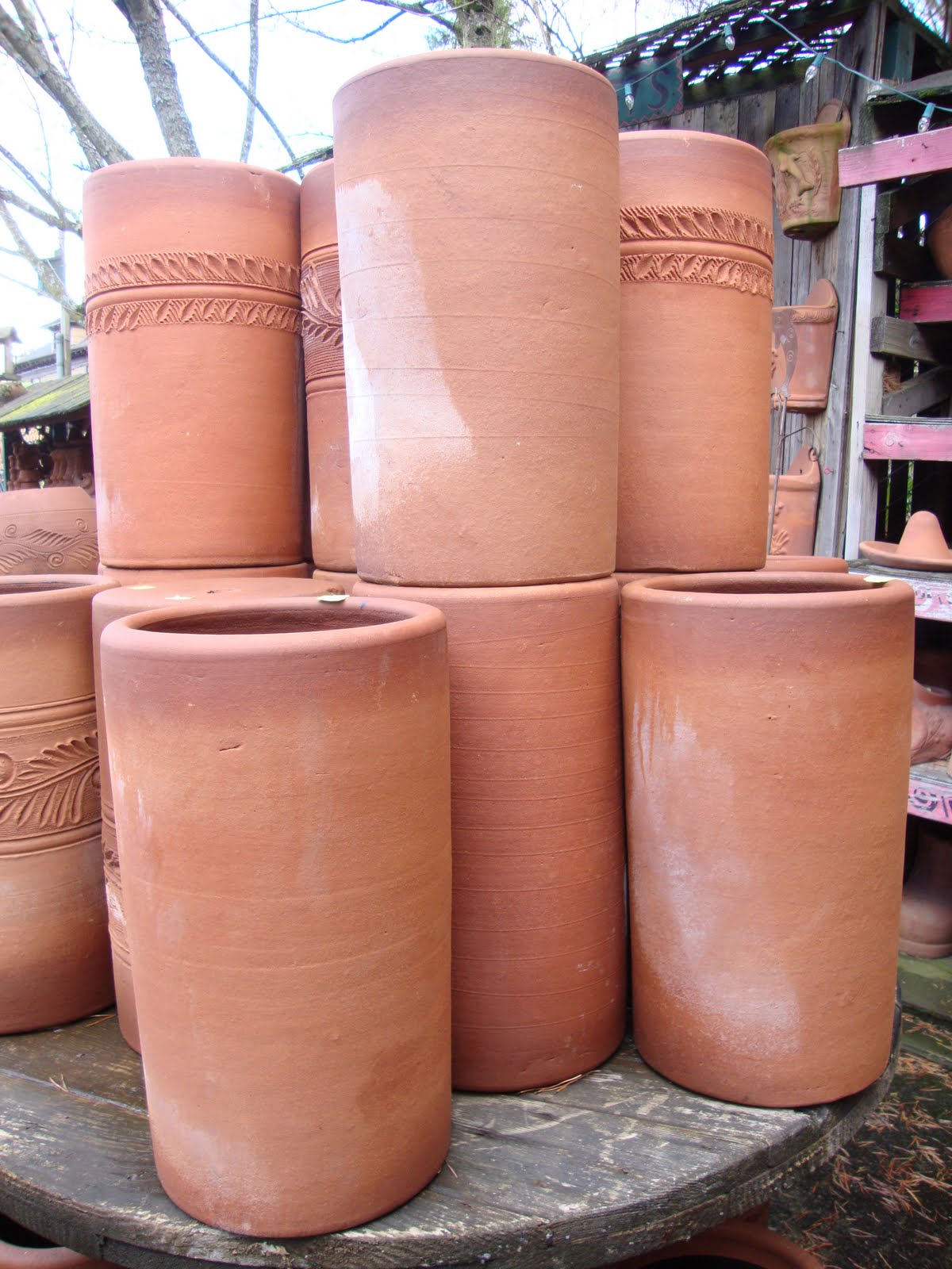 danger garden: Little Baja