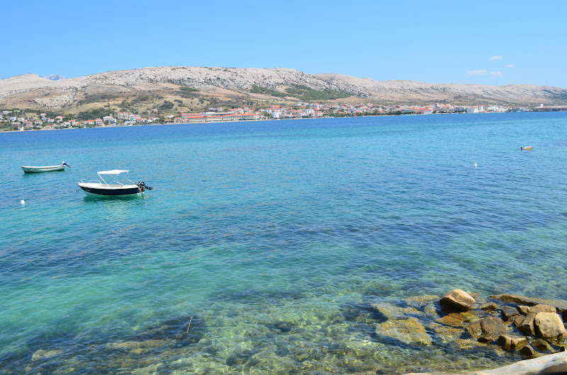 DSC_0703.JPG