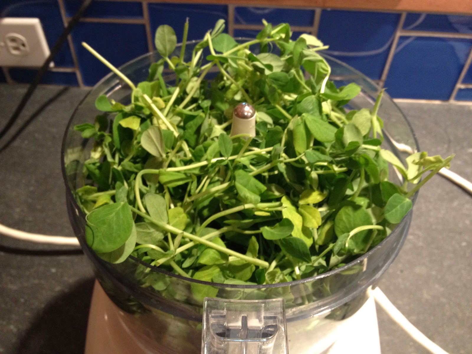 Veggies by the Bushel Pea tendril pesto