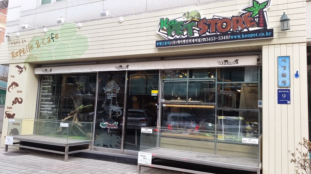 Dwaeji In Seoul Koopet (reptile cafe & pet store), Samsungdong