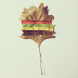 iPhone Photos By Brock Davis