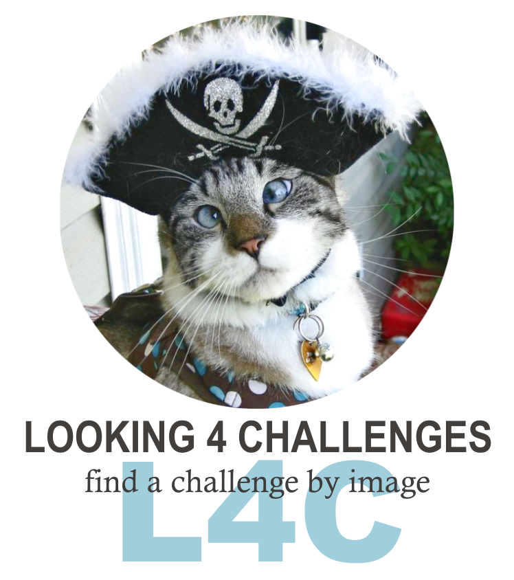 LOOKING 4 CHALLENGES with Pirate Cat
