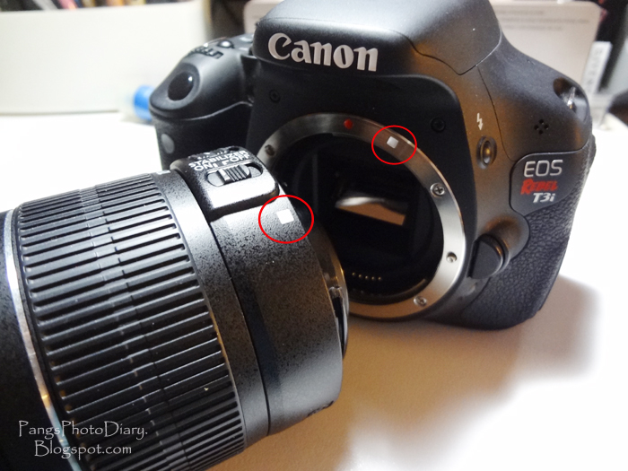 Pang's Photo Diary Canon Lens & Camera Compatibility + How to Mount