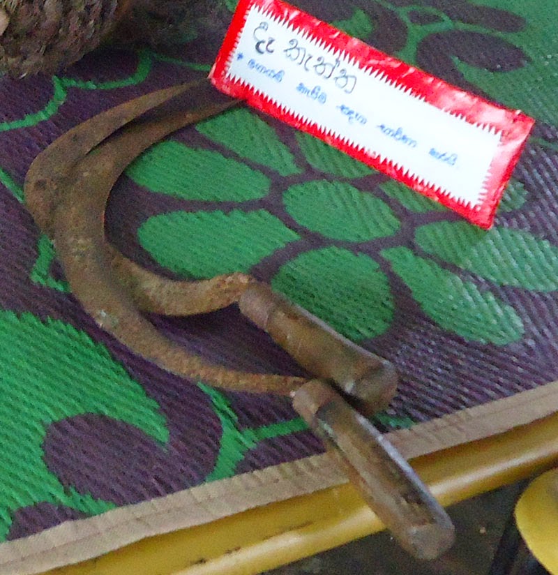 Sri Lankan Woman සාම්ප්‍රදායික ගොවි උපකරණ (Traditional Farming