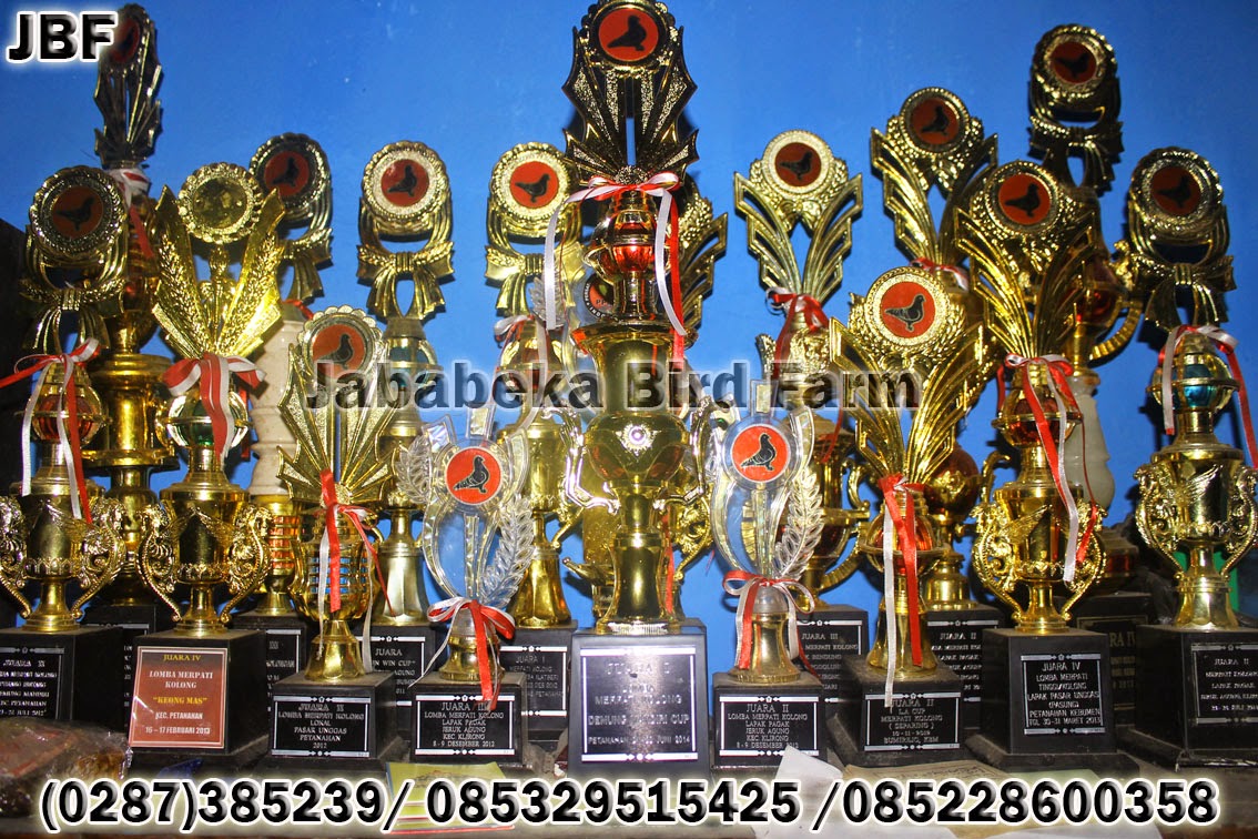 (0287) 382807 / 085228600358 / 085329515425 Kumpulan