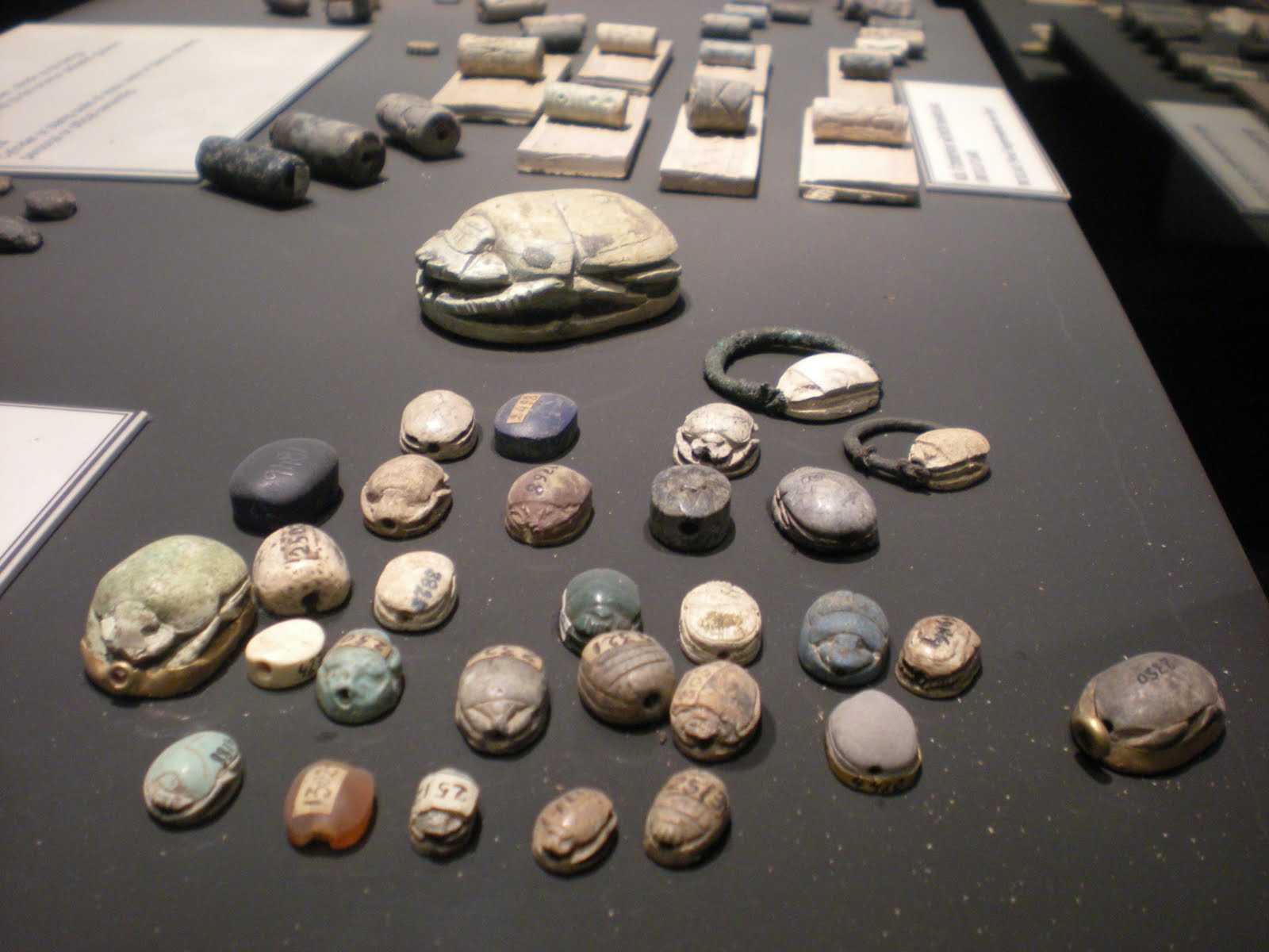 eternally roam March 2011