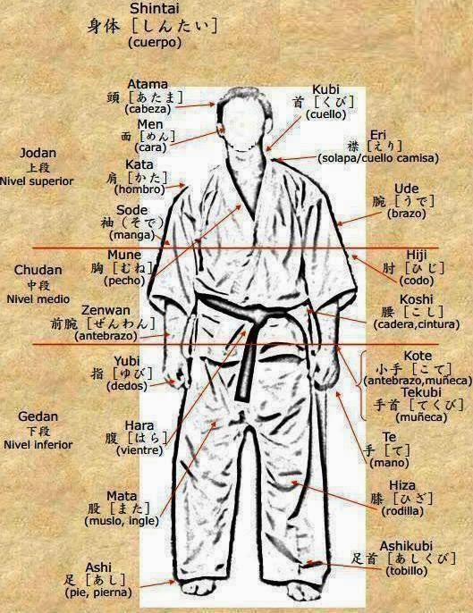 Blog de Karate Shotokan de David San. Partes del cuerpo en japones