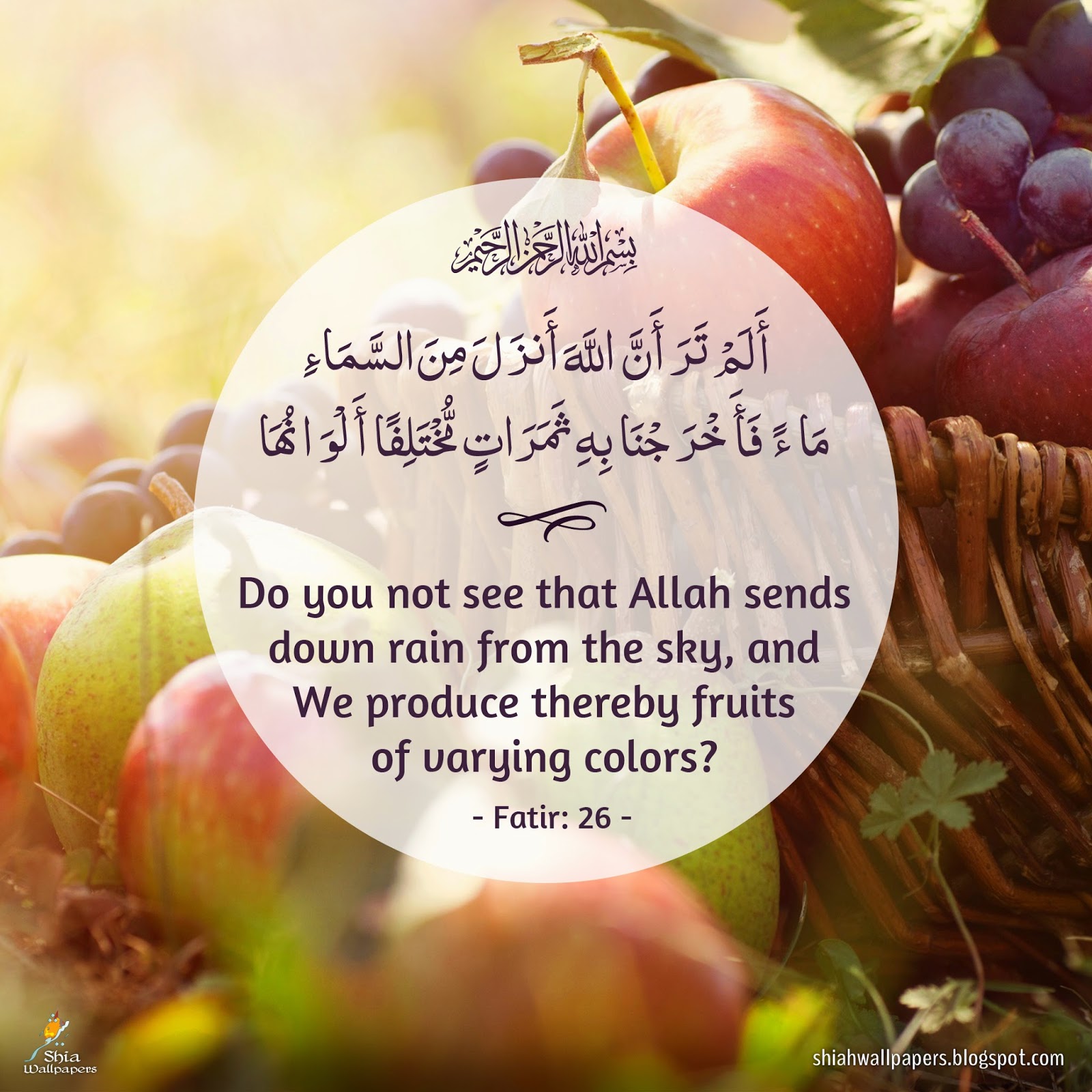 Shia Wallpapers Sign of Allah (swt) Fruits of various colors