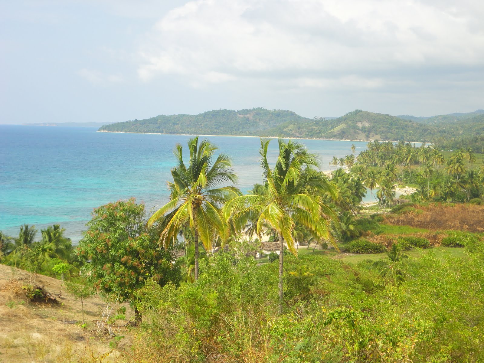 Tim White Listens The beaches of Anse d'Hainault