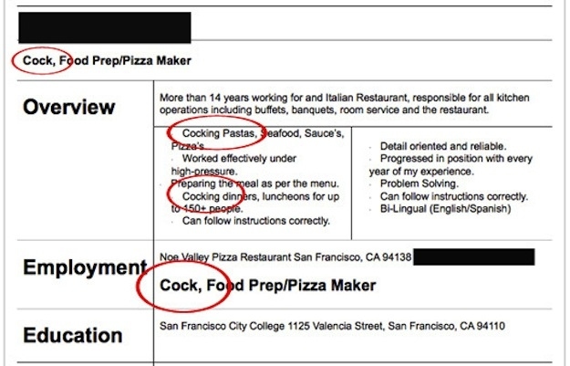 funny resume examples