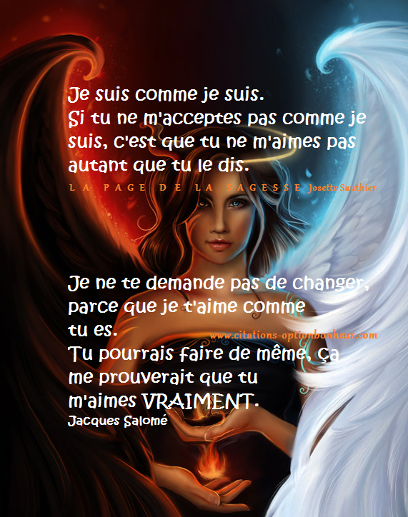 LES PANNEAUX ROSES de JOSETTE SAUTHIER Accepte moi comme