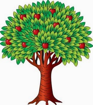 moringa,moringa oleifera,moringa beneficios,cha de moringa,moringa planta,moringa oleifera beneficios,beneficios da moringa,moringa para que serve,arvore da vida,folhas de moringa,moringa oleifera arvore,moringa planta medicinal,o que é moringa