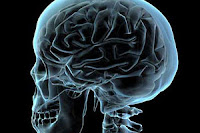 SEO-ссылки с трафиком на SAPE для Яндекс в 2014 году