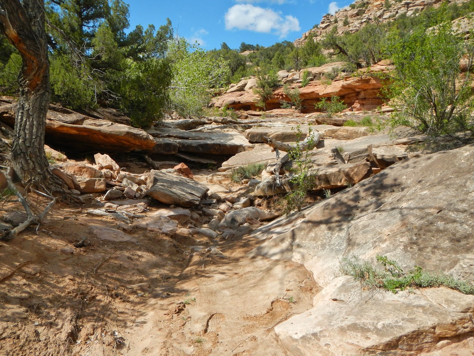 The Southwest Through Wide Brown Eyes Mapping Montezuma Canyon Road More Accurate, More