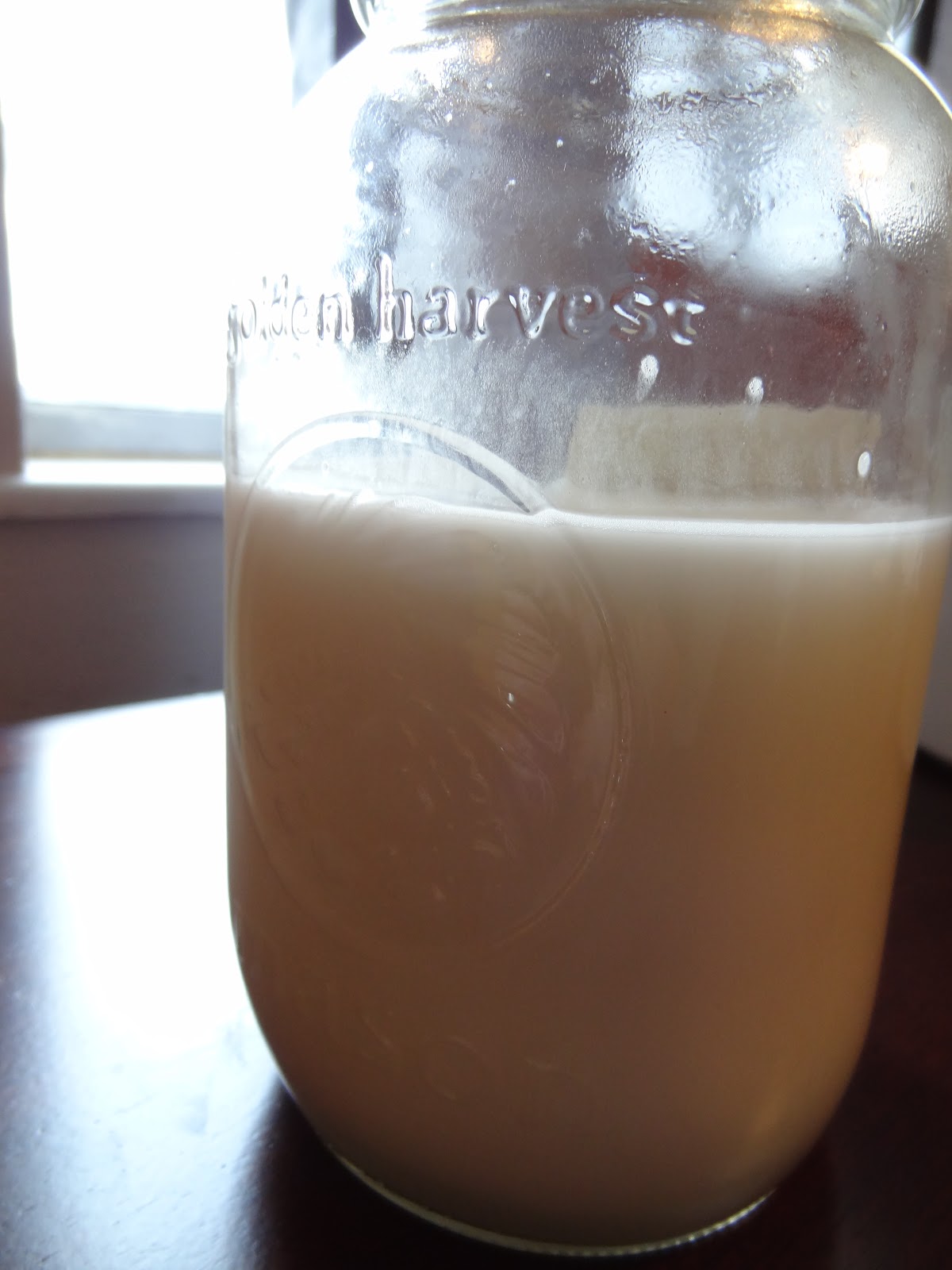 Salted Paleo Coconut Milk (SCD) From Shredded Coconut Vitamix