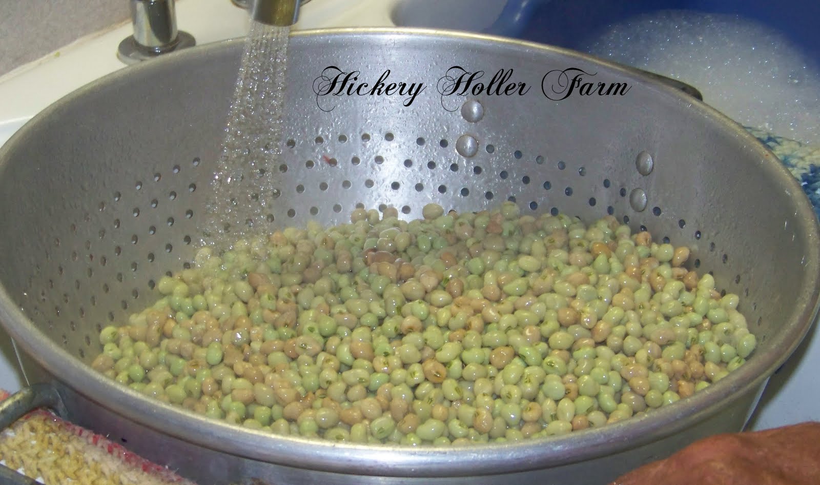Hickery Holler Farm Canning Field Peas
