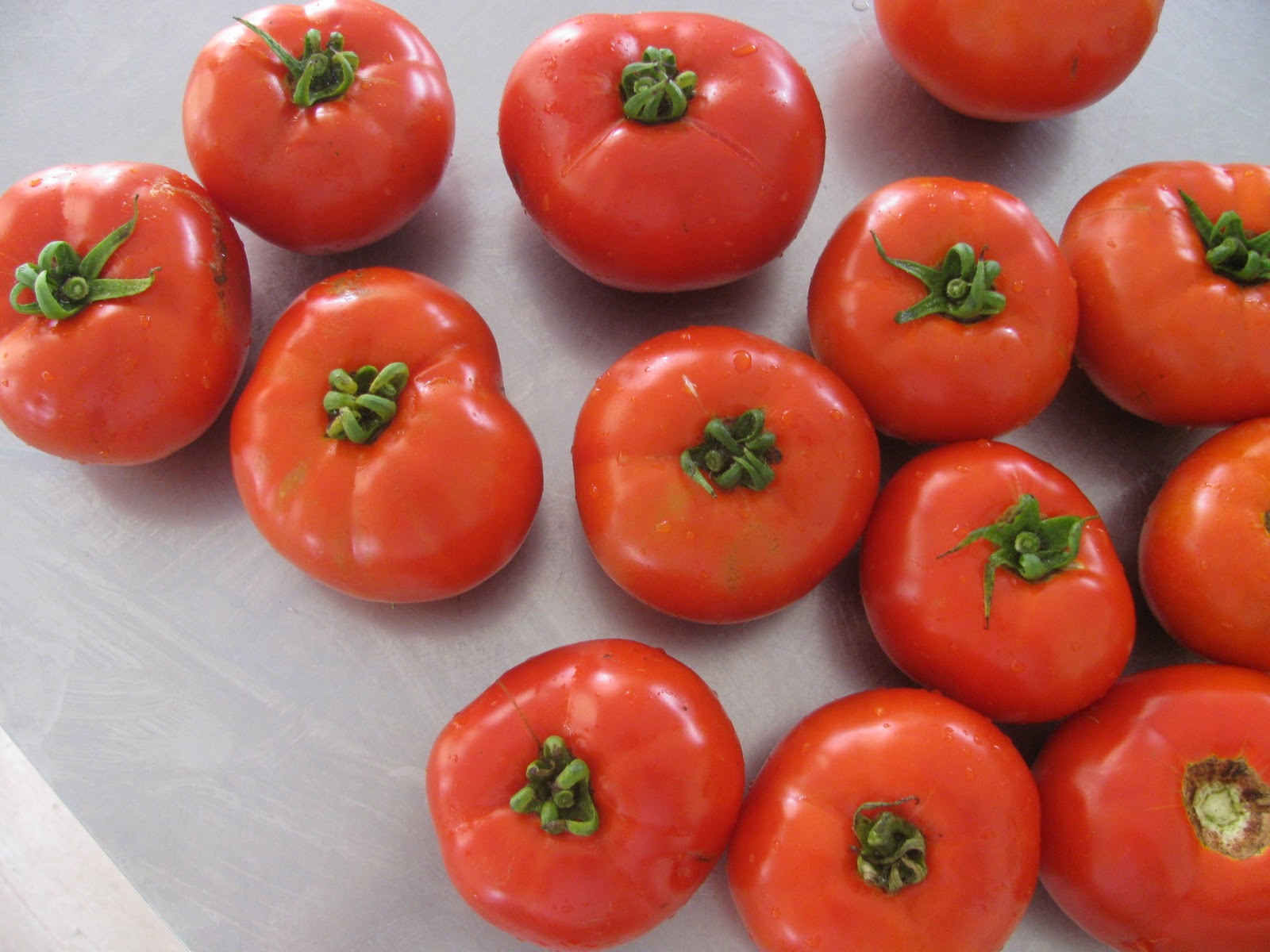 nz flavour Beefsteak tomatoes