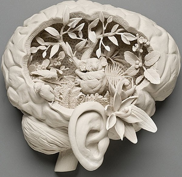Simply Creative Porcelain Sculptures Art by Kate MacDowell
