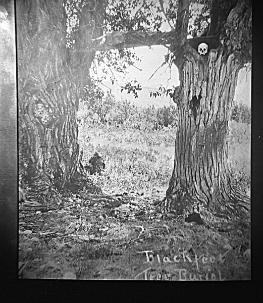 American Indian's History and Photographs Blackfeet Indian TreeBurials