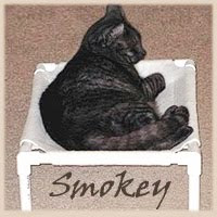 Smokey