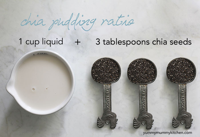 chia pudding ratio chia pudding ratio