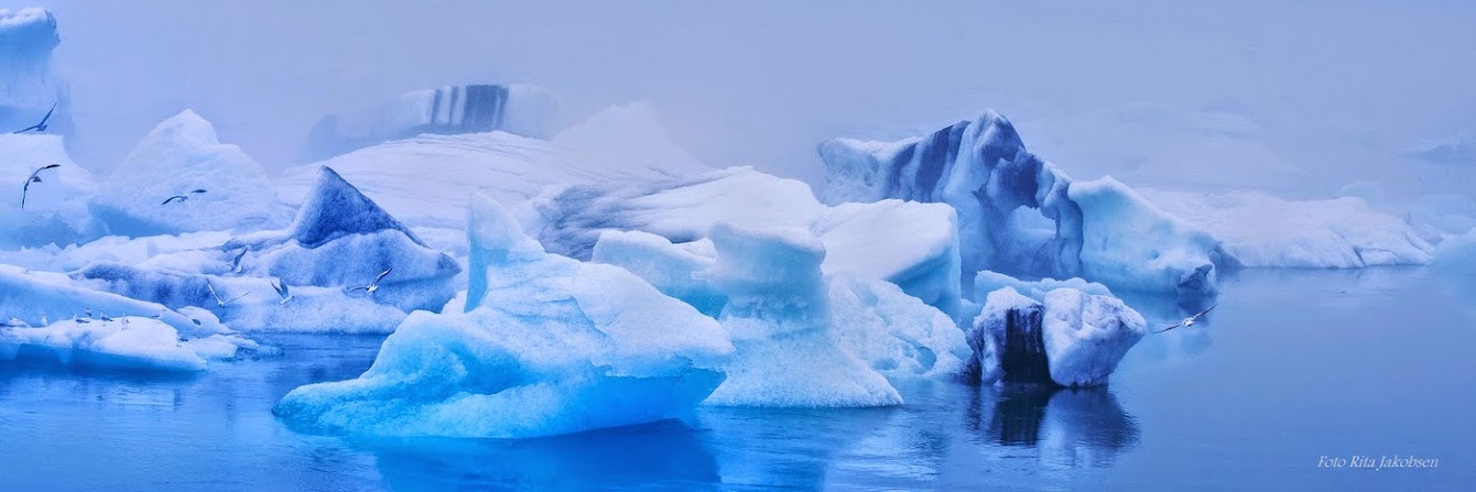 Nordland Biofoto