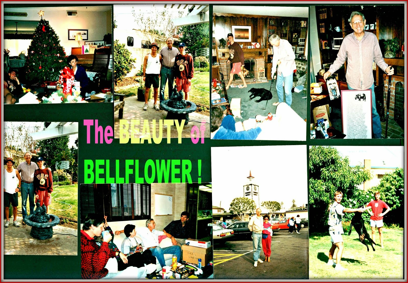 ,BELLFLOWER BLOG ! (header photo: around the bellflower house)   030915 