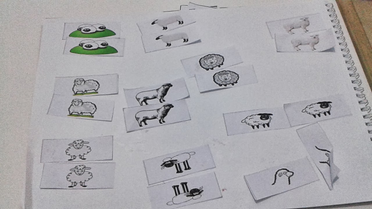 ali denizin tarihine dusulen notlar kuzu eslestirme