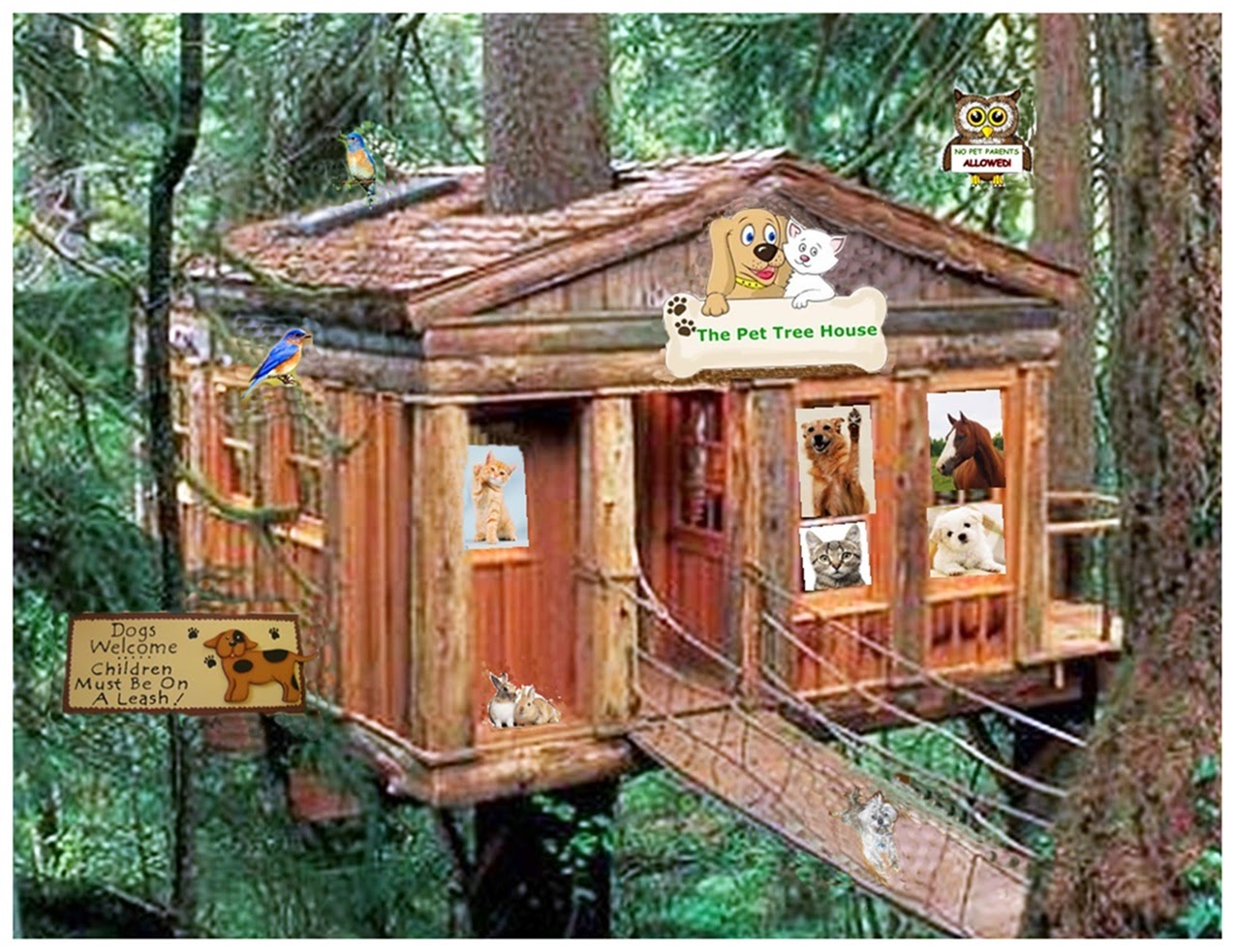 The Pet Tree House - Your Place for Information on Pets and Their Care!