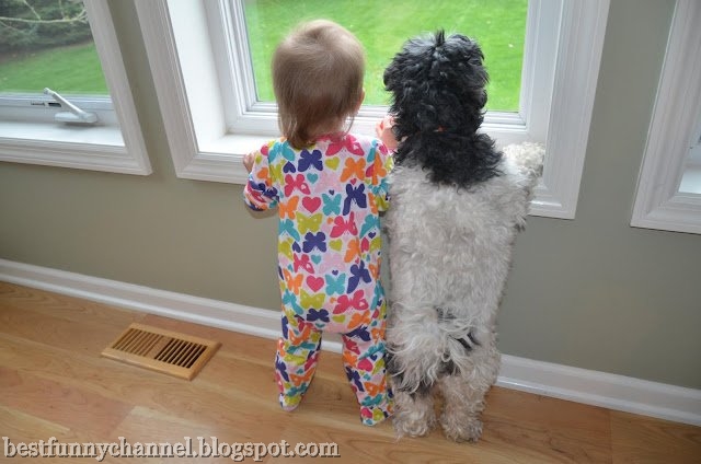 Funny baby and dog