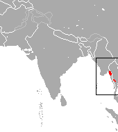 Kitti's Hog-nosed Bat Distribution Map showing the distribution of the Kitti's Hog-nosed Bat