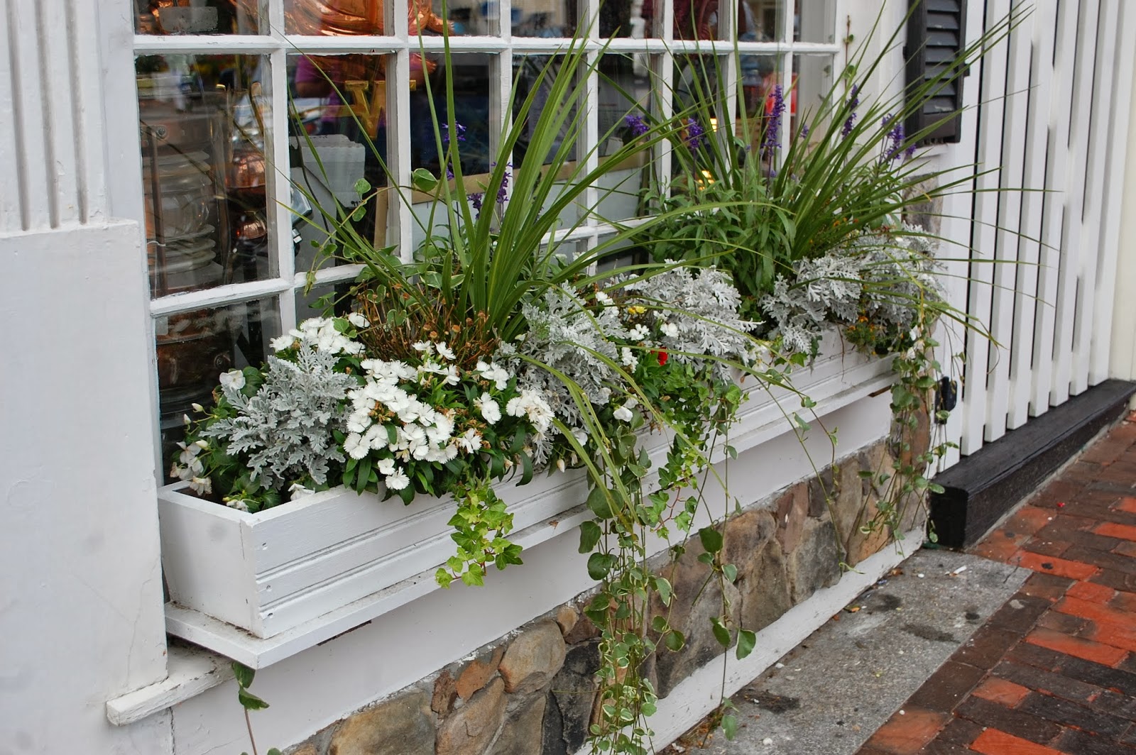 Sprouts Flowers Around Town Beautiful Kennebunkport, Maine