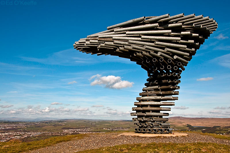 Eclectitude Singing Ringing Tree Musical Sculpture