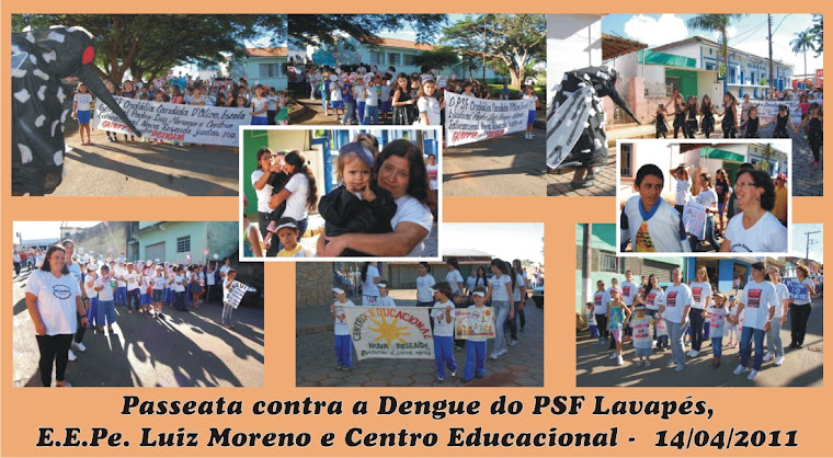 Passeata Contra a Dengue: