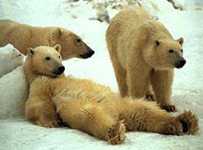 lazy+sunday.jpg