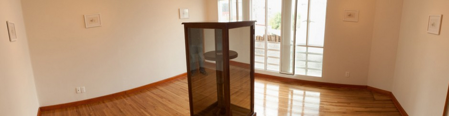 El Problema de lo Real (Vitrine #1), 2008