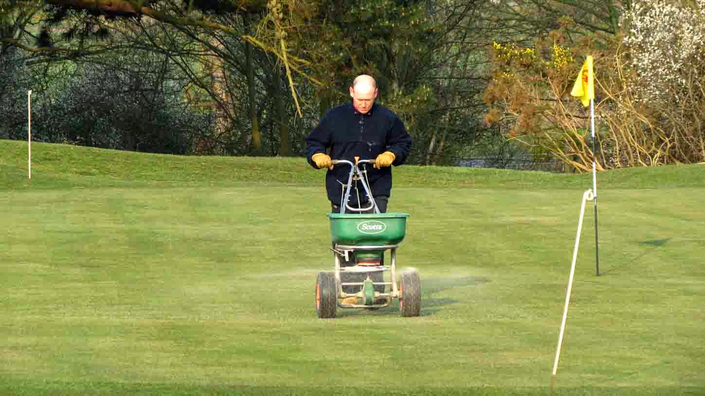 Lawn sand coursework image