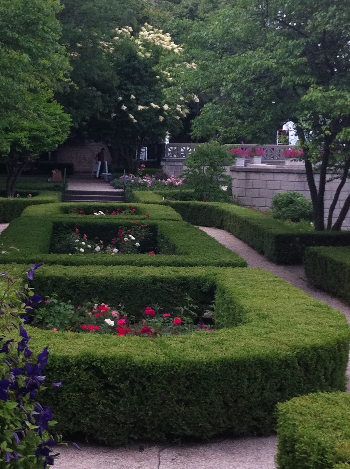 HOTEL ROSE GARDEN hotel rose garden: