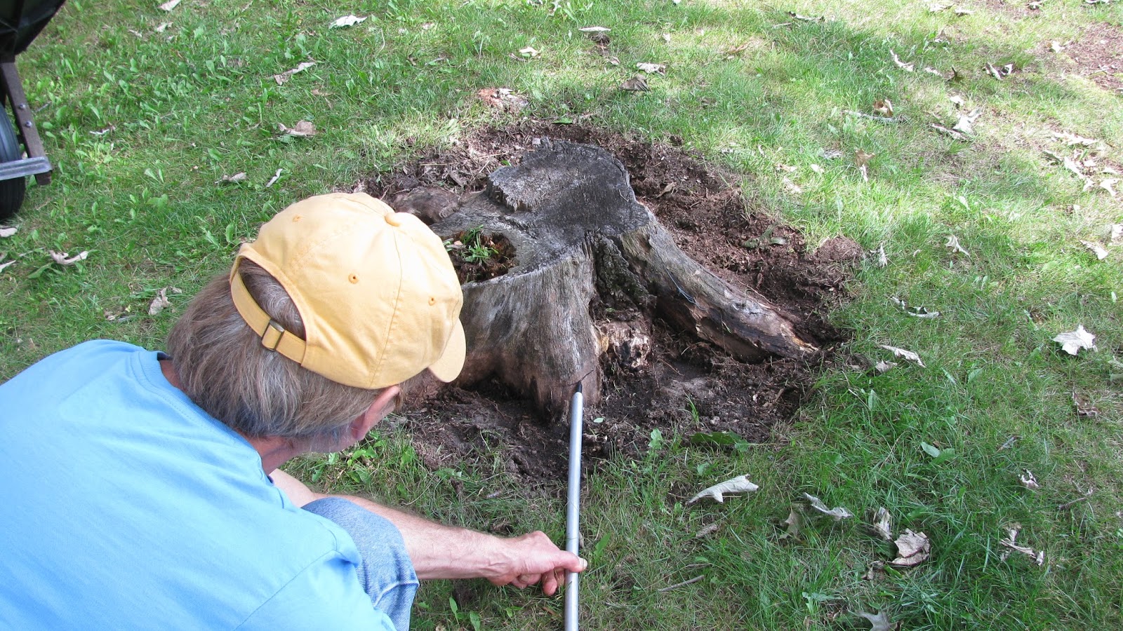 The Original Mechanic How to flush cut a stump