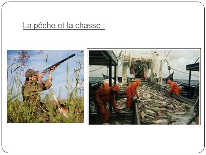 agriculture biologique biodiversité