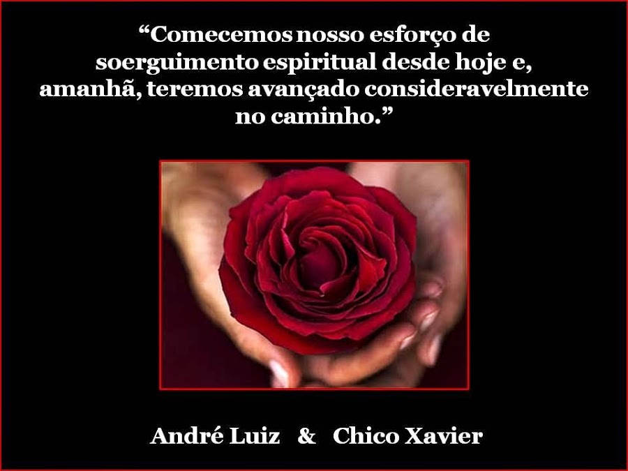 Imagem Postada